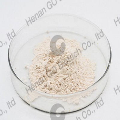 super quality antiscorching agent pvi (ctp) in america